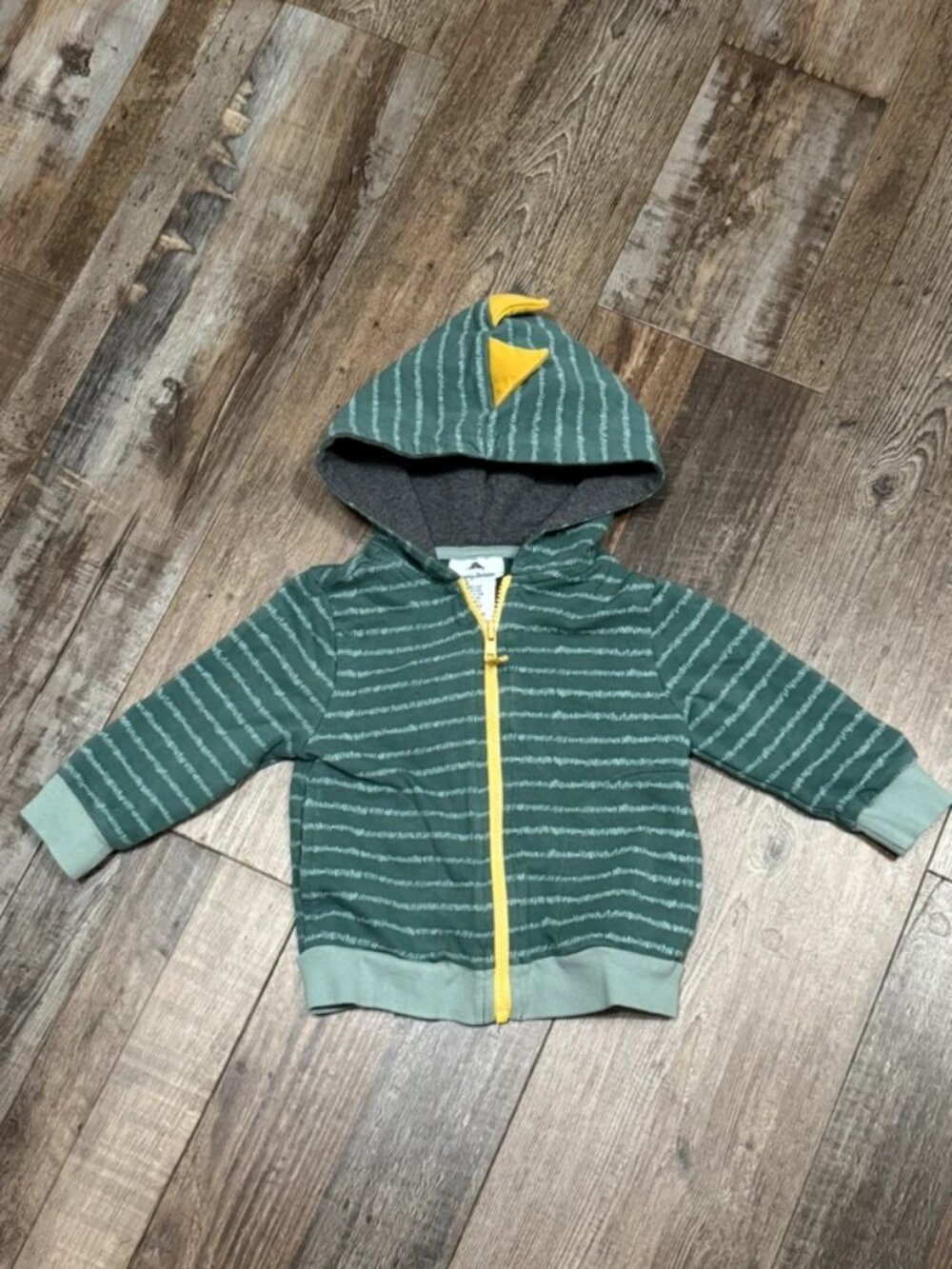 Tommy Bahama infant dinosaur spike full-zip hoodie Size 12 months